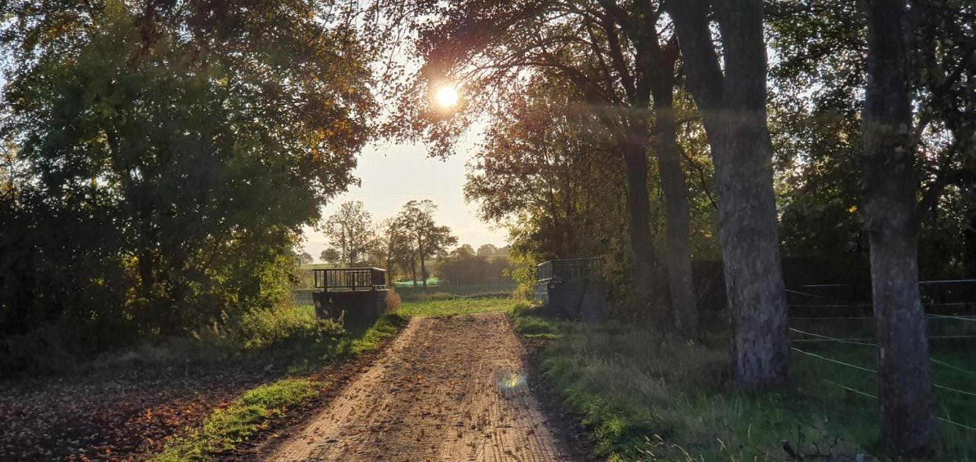 Ferienhaus Q1, Ruhe Und Erholung In Der Eifel Цюльпих Экстерьер фото
